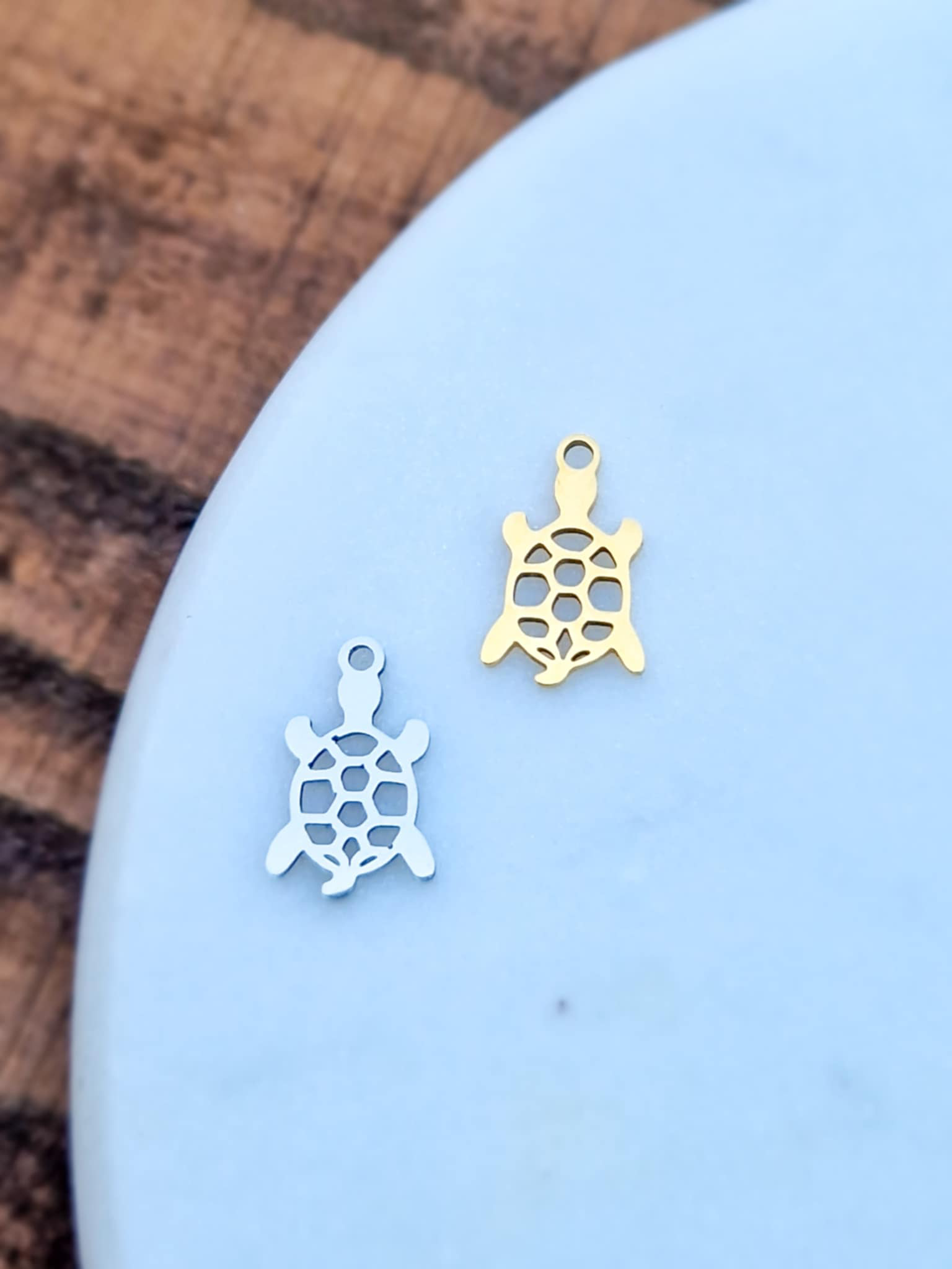 Charm tortue